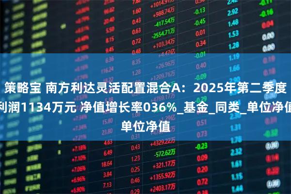 策略宝 南方利达灵活配置混合A：2025年第二季度利润1134万元 净值增长率036%_基金_同类_单位净值