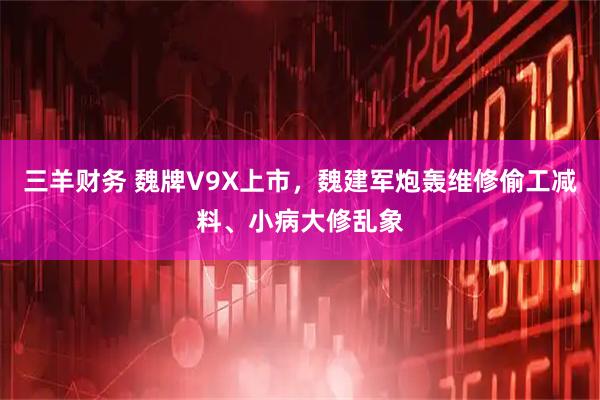 三羊财务 魏牌V9X上市,魏建军炮轰维修偷工减料、小病大修乱象