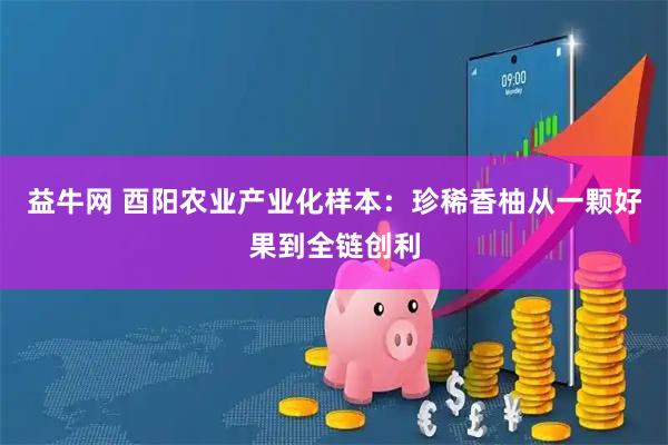 益牛网 酉阳农业产业化样本：珍稀香柚从一颗好果到全链创利