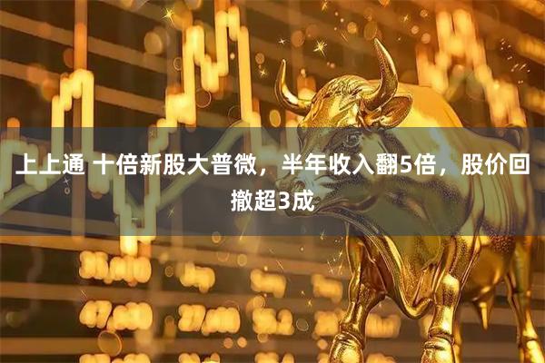 上上通 十倍新股大普微，半年收入翻5倍，股价回撤超3成