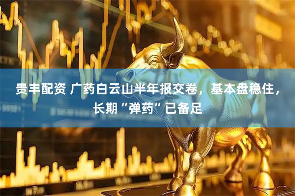 贵丰配资 广药白云山半年报交卷，基本盘稳住，长期“弹药”已备足